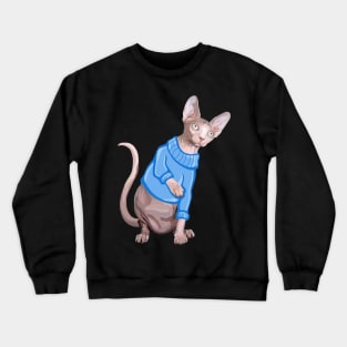 Cute Sphynx Cat with Blue Knit Sweater Crewneck Sweatshirt